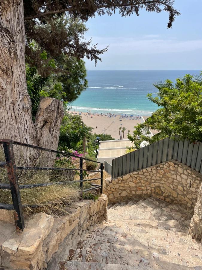 Cielo De Poniente Leilighet Benidorm Eksteriør bilde